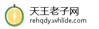 天王老子网
